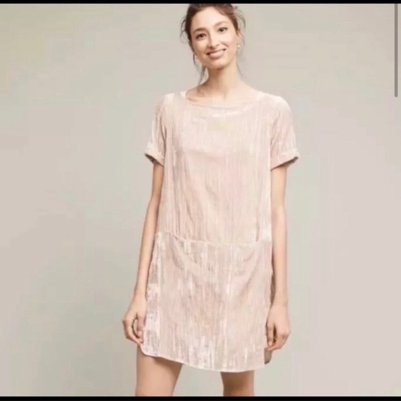 Anthropologie Dresses & Skirts - Anthropologie Floreat Velvet Tunic Dress